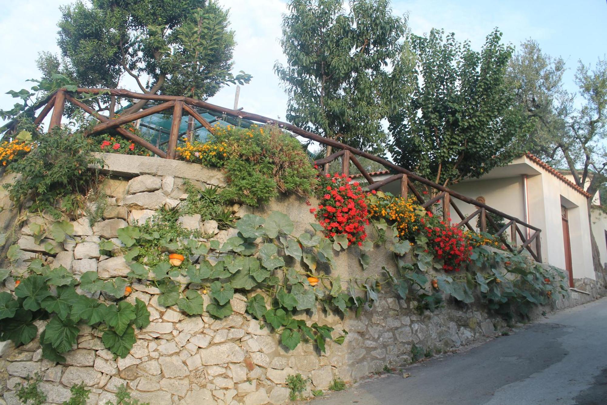 Casa Vacanze Chery Península Sorrentina Exterior foto